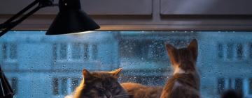 Холодний фронт на підході. А які контрасти ми відчуємо!