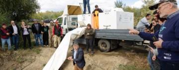 У річку Дунай на Одещині випустили понад 2,5 тисячі молоді осетрових видів риб