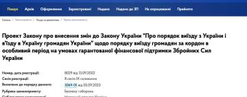 Чоловіки, які незаконно виїхали з України після 24 лютого, мають заплатити, щоб повернутися — законопроект №8029