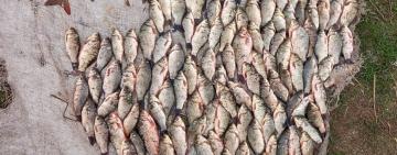 Наловив на 290 тисяч гривень: мешканцю  Білгород-Дністровського району оголосили вирок 