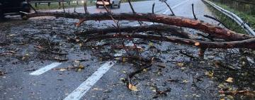 День аномалії розпочався!