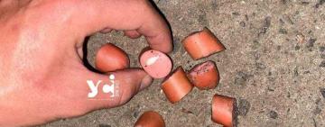 Масове отруєння собак в Одесі