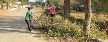 В ПАВЛІВСЬКІЙ ГРОМАДІ ПРОДОВЖУЮТЬ ЗАЛУЧАТИ БЕЗРОБІТНИХ ДО СУСПІЛЬНО-КОРИСНИХ РОБІТ
