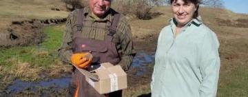 В Арцизькій громаді завершилася кампанія з пероральної імунізації диких м’ясоїдних тварин проти сказу 