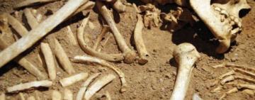 На півдні Одещини в дитячому садку знайшли людські кістки