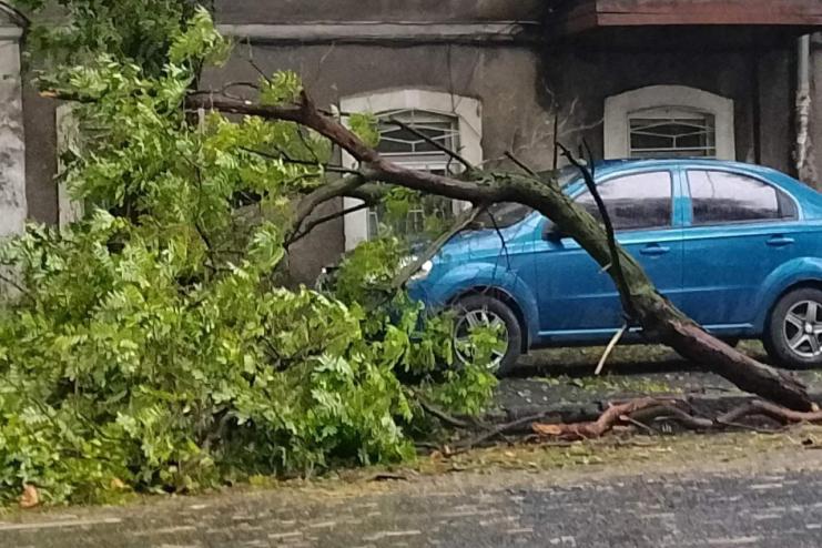 Майже 50 населених пунктів області залишаються без світла через негоду.