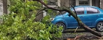 Майже 50 населених пунктів області залишаються без світла через негоду.