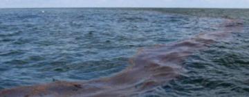 В Одеській області торговельне судно забруднило море пальним — судновласник заплатив штраф