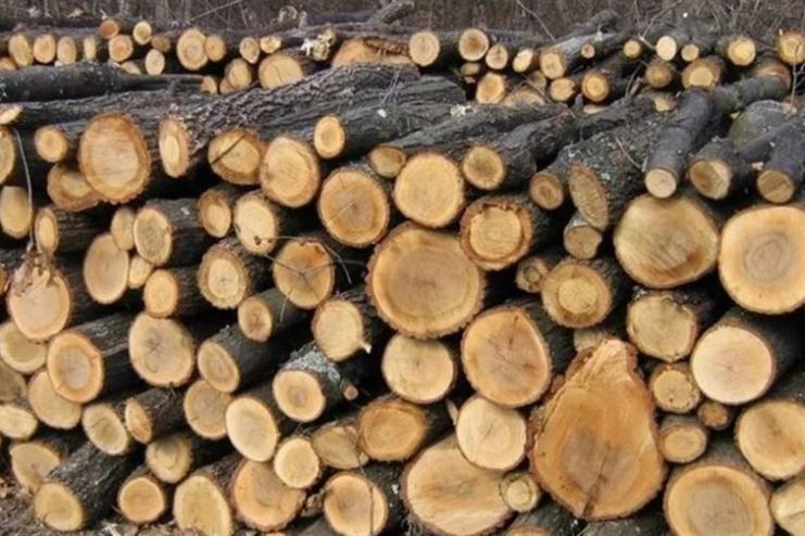 Житель Білгород-Дністровського району ошукав 18 громадян на продажі неіснуючих дров 