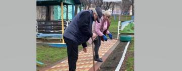 У селі на Тарутинщині висадили 300 сосен