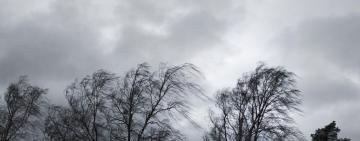 26 грудня: на Одещині оголошено штормове попередження