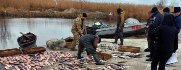 На Одещині викрито браконьєрів, які наловили риби на 1,5 млн грн