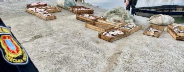 Поліцейські викрили двох браконьєрів на озері Кугурлуй