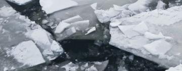 Хотіла втопитися в Дунаї: на Одещині чоловік врятував молоду дівчину - ЗМІ