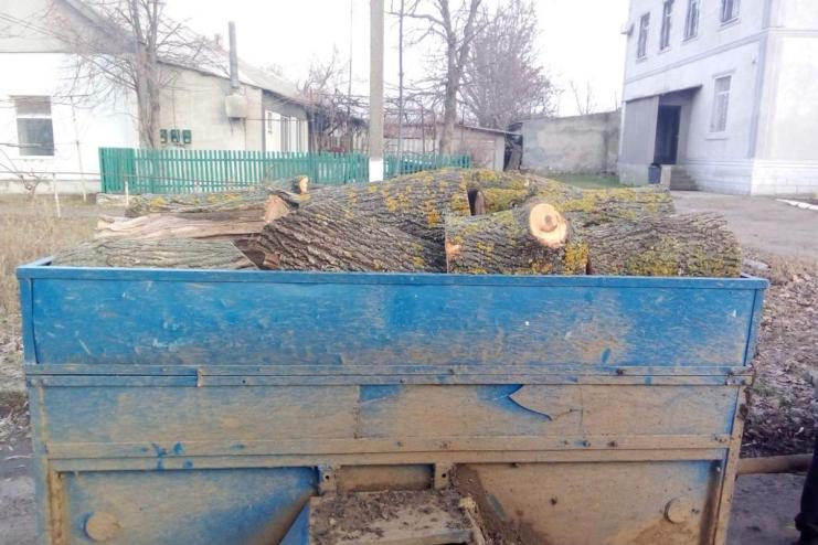 На території Саратської та Успенівської громад затримано чорних лісорубів