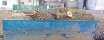 На території Саратської та Успенівської громад затримано чорних лісорубів