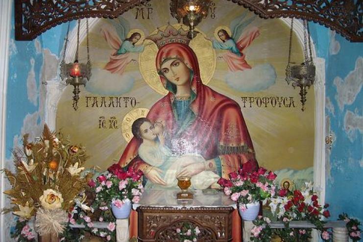 25 января. Икона Пресвятой Богородицы "Млекопитательница" 