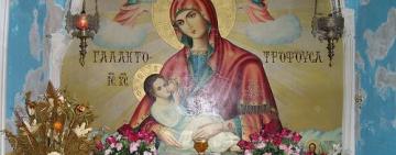 25 января. Икона Пресвятой Богородицы 