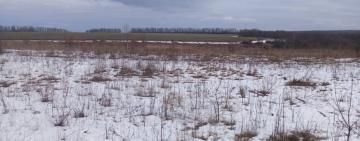 Громаді на Одещині повернули землі вартістю 609 мільйонів гривень