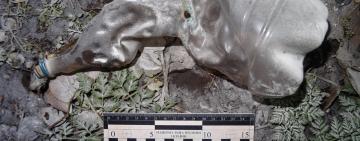 Помста жінці: на Одещині поліція розслідує справу щодо підпалу