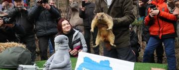 Коли до нас прийде весна: бабак Тимко зробив прогноз