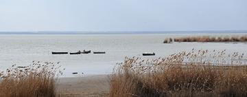 На березі Дунаю знайшли одяг та речі зниклої дівчини