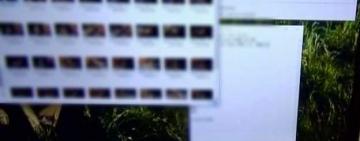 Одеситу загрожує до семи років ув’язнення за оборудки з порнографічним контентом