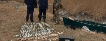 Нарибалили на 365 тисяч гривень: в Одеській області затримали браконьєрів з електровудкою