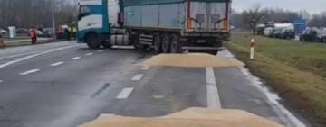 Умисне знищення українського зерна в Польщі: головне про гучний скандал