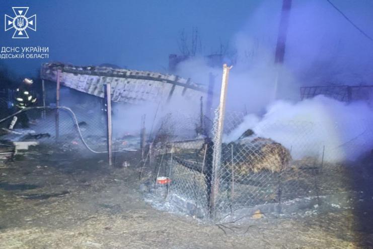 На Одещині через пожежу загинули свійські тварини