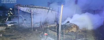 На Одещині через пожежу загинули свійські тварини