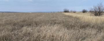 На Одещині навчальному закладу повернено сільгоспземлі вартістю 7,6 млн грн