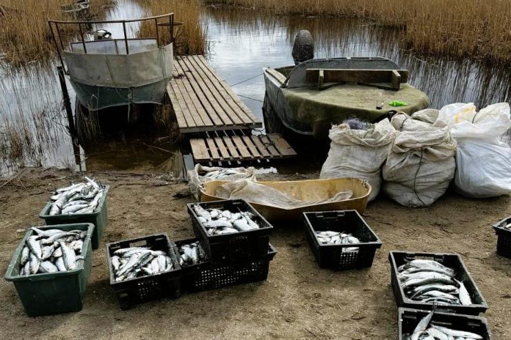 На Одещині браконьєри наловили риби майже на 3 мільйона гривень