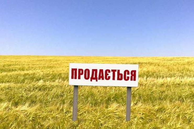 «Батьківщина» вимагає запровадити мораторій на розпродаж землі до кінця війни – відповідний законопроєкт уже в парламенті