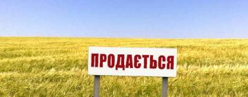«Батьківщина» вимагає запровадити мораторій на розпродаж землі до кінця війни – відповідний законопроєкт уже в парламенті