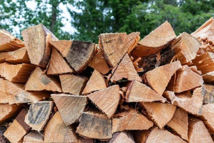 Утриманець одеської колонії наторгував 134 тисячі гривень – неіснуючі продав дрова та сіно