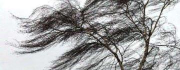 На Одещині оголосили штормове попередження на 26 березня