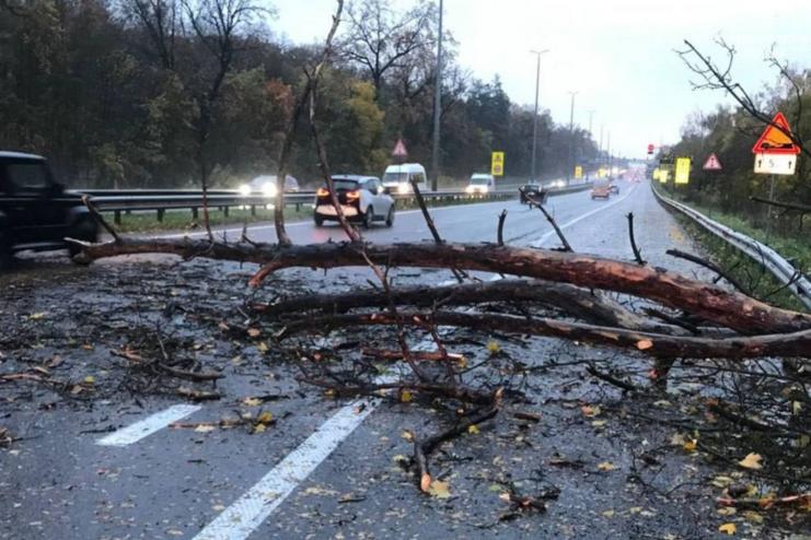 В Одесі через негоду повалені дерева та підтопленні вулиці