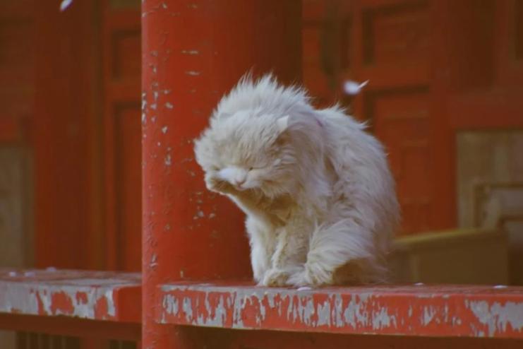 На Одещину знову суне шторм