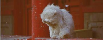 На Одещину знову суне шторм