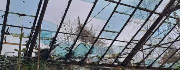 Одеський ботанічний сад постраждав під час останньої ракетної атаки