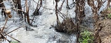 Мільйонні збитки: консервний завод у Білгород-Дністровському районі забруднив  майже 8 тисяч кв.м землі