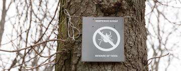 ОБЕРЕЖНО, кліщі: з приходом тепла активізувалися і ці паразити