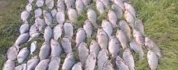 На Одещині прикордонники виявили двох браконьєрів з уловом на понад 230 тисяч гривень