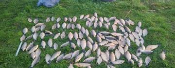 Ще один браконьєр завдав збитків державі на річці Кодима