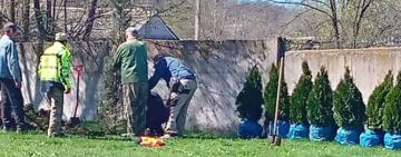 В Теплиці в рамках доброустрою прилеглих територій висадили зелені насадження
