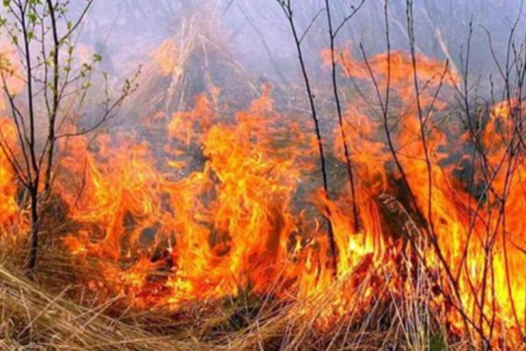 Попередження: в Одеській області оголосили надзвичайний рівень пожежної небезпеки