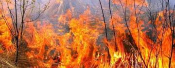 Попередження: в Одеській області оголосили надзвичайний рівень пожежної небезпеки