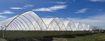 Мешканець Одещини будує великі ягідні тунелі за грантові кошти