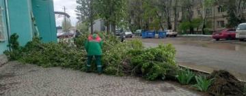 Через негоду у школах Одеси 22 квітня організують дистанційні заняття